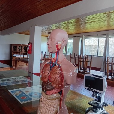 Laboratorio Ciencias Colegio El Pilar