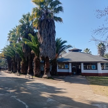 Áreas verdes en Colegio El Pilar
