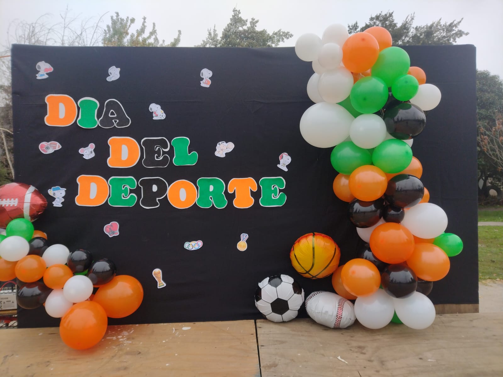 Día del Deporte 2026