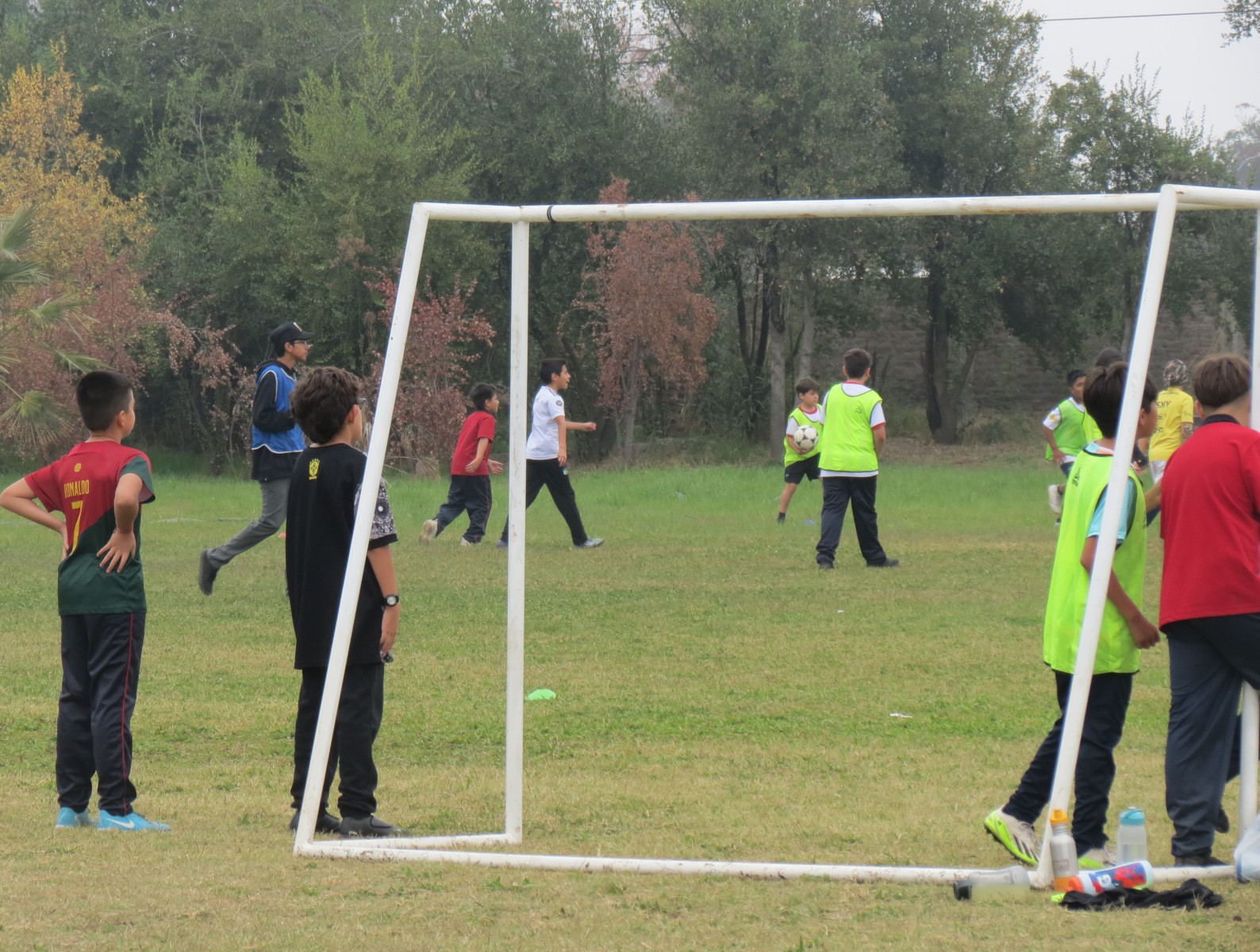 Día del deporte 2026