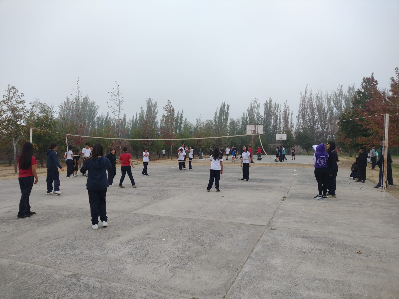 Día del deporte 2026